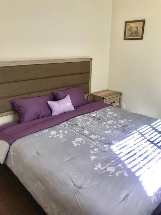Private Modern Guesthouse With Backyard Los Angeles Dış mekan fotoğraf